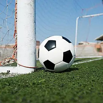 澳客体彩app界面展示